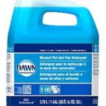 Dawn - Professional Dishwashing Liquid with Pump - gallon