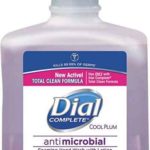 Dial Complete Cool Plum Antimicrobial Foaming Hand Wash - Refill 1L
