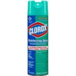 Clorox - Fresh Scent Disinfectant - 12/19 oz Spray