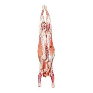 Whole Imported Lamb, Halal