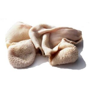 Frozen Honeycomb Tripe