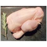 Cornish Game Hens - 1/24 Oz