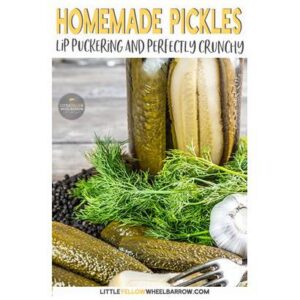 Puckered Pickle - Sliced Chunky Pickle - 1 Gal