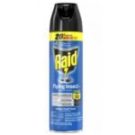 Raid - Insect Killer Spray - 12/15 oz Can