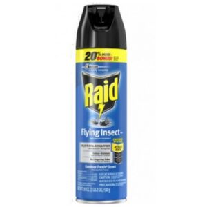 Raid - Insect Killer Spray - 12/15 oz Can