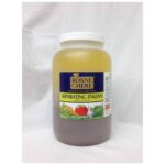 Bonne Chere - Separating Italian Dressing - gallon Jug