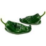 Poblano Peppers - 5 lbs