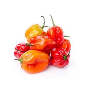 Ajicito Peppers - 5 lb bag