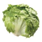 Wrapped Cello Lettuce - 24 ct