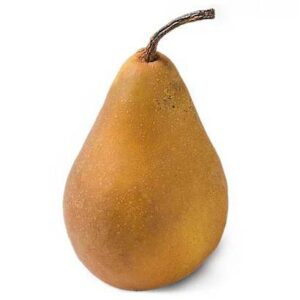 Bosc Pears - Tray pack 80/90 ct - #1