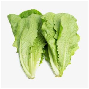 Romaine Lettuce - 24 ct