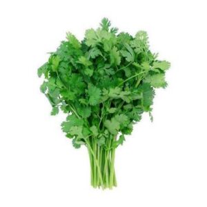 Cilantro- 60 ct - 28 lb