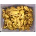 Fresh Ginger - 30 lbs