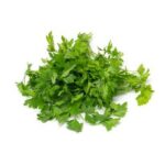 Italian Parsley - 24 Ct