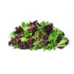 Romaine Lettuce Heritage Blend - 5 lbs
