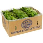 Green Leaf Lettuce - 4 ct