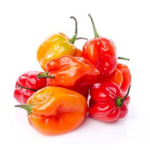 Habanero, 8 lbs