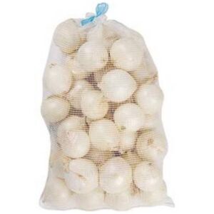 White Onion, Bag - 5 lbs