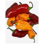 HABANERO PEPPER - 2LBS