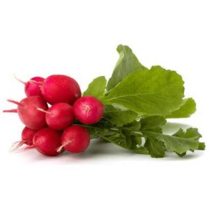 Radish - 6 oz