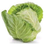 Diced Cabbage - 5 lbs