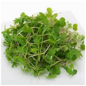 Organic Baby Kale - 2 lbs