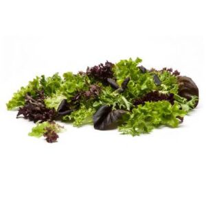 Nordic Blend - 3 Lb