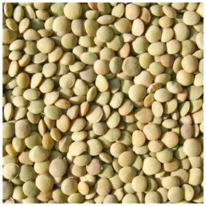 Lentil Beans - 25 lb