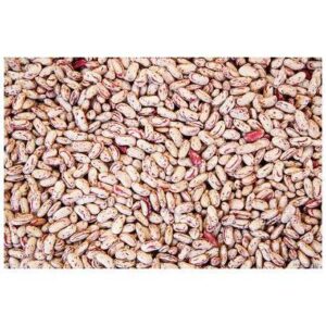 Pre-washed Pinto Beans - 50 lb