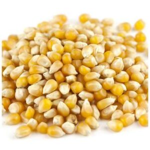 Heartland - Yellow Popcorn - 25 lb