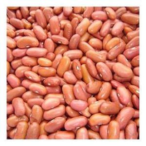 KIDNEY BEANS(light) (10x4LB)