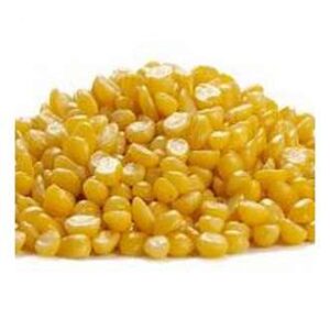 MOONG DAL 20 x 2 lb