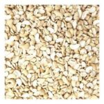 CASHEW PIECES(LWP) (10x28oz)